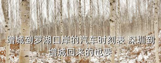 深圳羅湖口岸客運站到增城區，增城到羅湖口岸的汽車時刻表 深圳到增城回來的也要