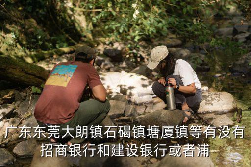 廣東東莞大朗鎮(zhèn)石碣鎮(zhèn)塘廈鎮(zhèn)等有沒有招商銀行和建設(shè)銀行或者浦
