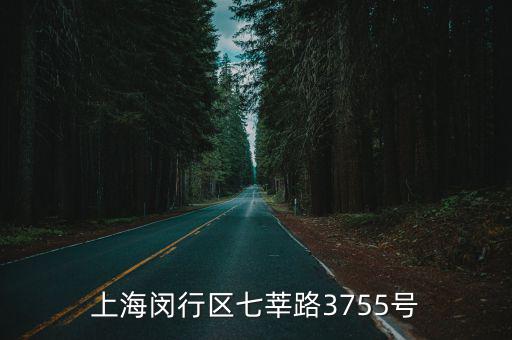 上海閔行區(qū)七莘路3755號