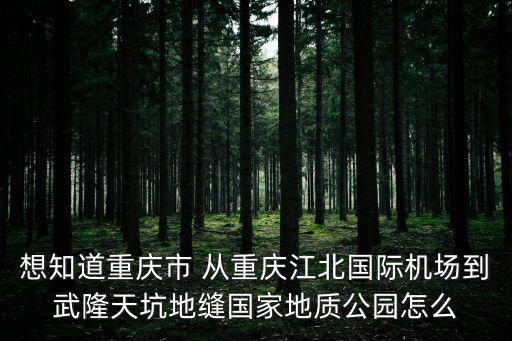 想知道重慶市 從重慶江北國際機場到武隆天坑地縫國家地質(zhì)公園怎么