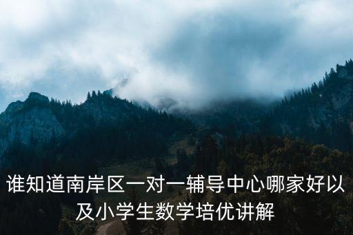 誰知道南岸區一對一輔導中心哪家好以及小學生數學培優講解