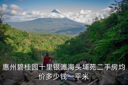 惠州碧桂園十里銀灘海頭埔苑二手房均價多少錢一平米