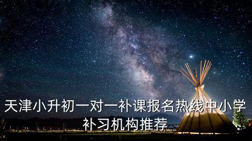 天津小升初一對一補課報名熱線中小學(xué)補習(xí)機構(gòu)推薦