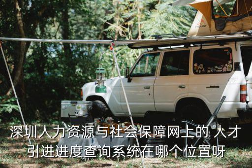 深圳人力資源與社會(huì)保障網(wǎng)上的 人才引進(jìn)進(jìn)度查詢系統(tǒng)在哪個(gè)位置呀