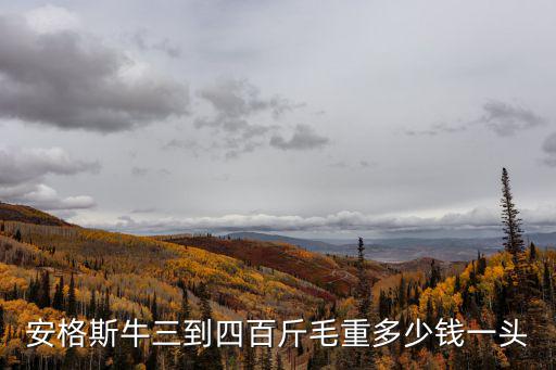 牛頭硬狗多少錢一斤，牛骨頭多少錢一斤
