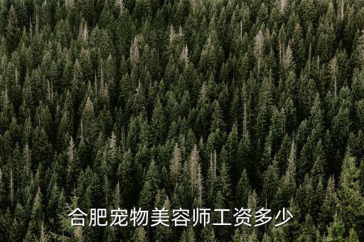 合肥寵物美容師工資多少