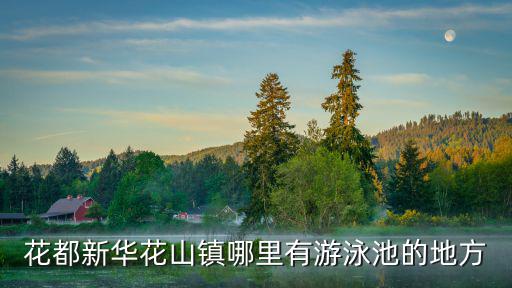 花都新華花山鎮哪里有游泳池的地方