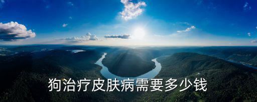 狗治療皮膚病需要多少錢