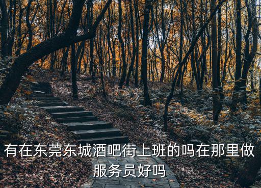 有在東莞東城酒吧街上班的嗎在那里做服務員好嗎