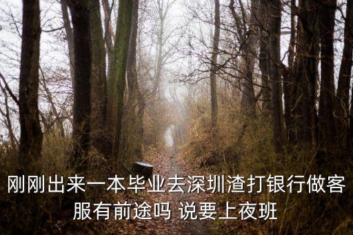 剛剛出來一本畢業(yè)去深圳渣打銀行做客服有前途嗎 說要上夜班