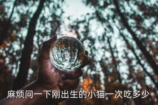 麻煩問一下剛出生的小貓一次吃多少