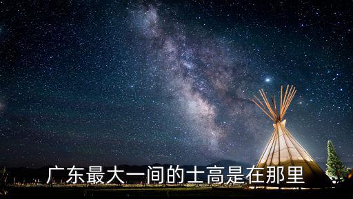 廣東最大一間的士高是在那里