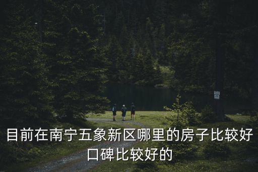 目前在南寧五象新區(qū)哪里的房子比較好口碑比較好的