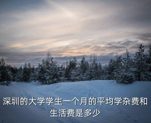 深圳的大學(xué)學(xué)生一個月的平均學(xué)雜費和生活費是多少