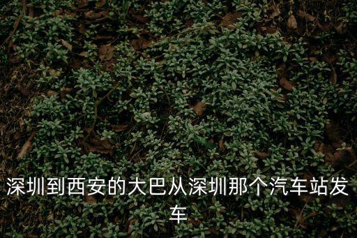 深圳到西安的大巴從深圳那個汽車站發車