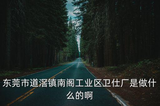 東莞市道滘鎮(zhèn)南閣工業(yè)區(qū)衛(wèi)仕廠是做什么的啊