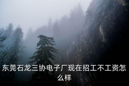 東莞石龍三協(xié)電子廠現(xiàn)在招工不工資怎么樣