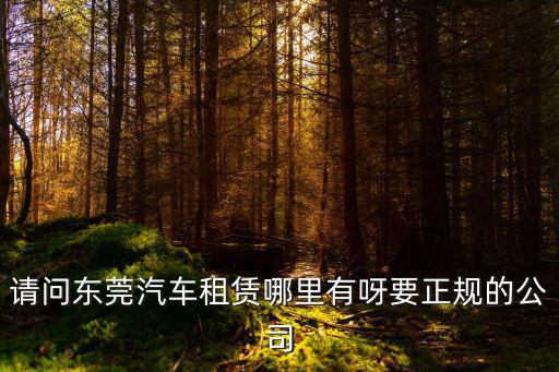 請問東莞汽車租賃哪里有呀要正規的公司