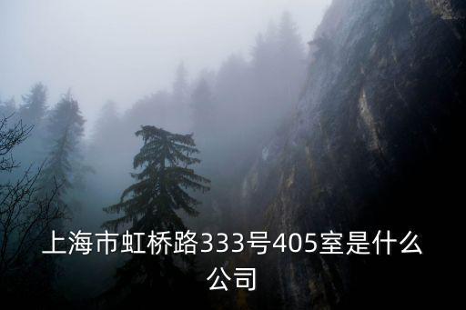 上海市虹橋路333號(hào)405室是什么公司