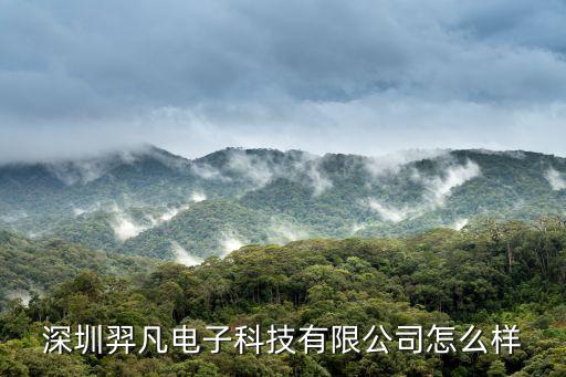 深圳羿凡電子科技有限公司怎么樣