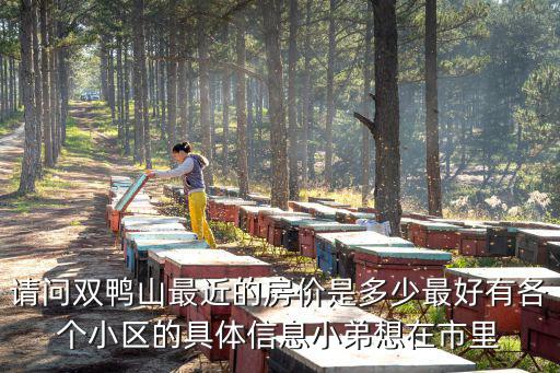 請問雙鴨山最近的房價是多少最好有各個小區的具體信息小弟想在市里