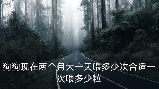 狗狗現(xiàn)在兩個(gè)月大一天喂多少次合適一次喂多少粒