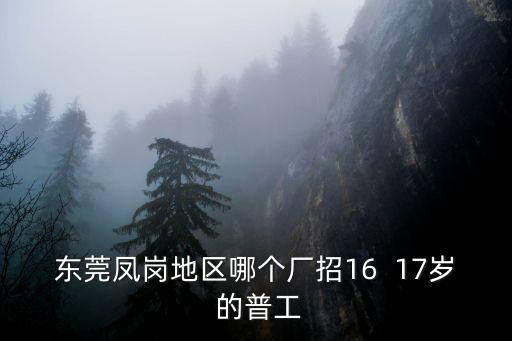 東莞鳳崗地區哪個廠招16  17歲 的普工