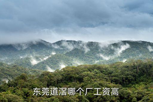 東莞道滘哪個廠工資高
