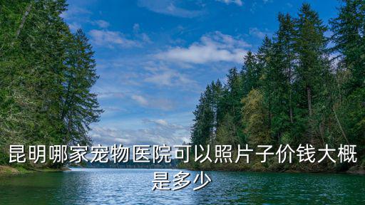 昆明哪家寵物醫院可以照片子價錢大概是多少
