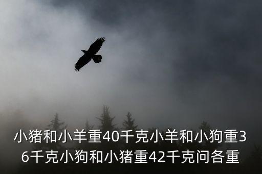 小豬和小羊重40千克小羊和小狗重36千克小狗和小豬重42千克問各重