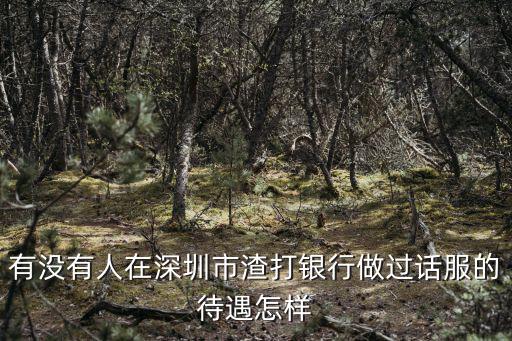 有沒有人在深圳市渣打銀行做過話服的待遇怎樣