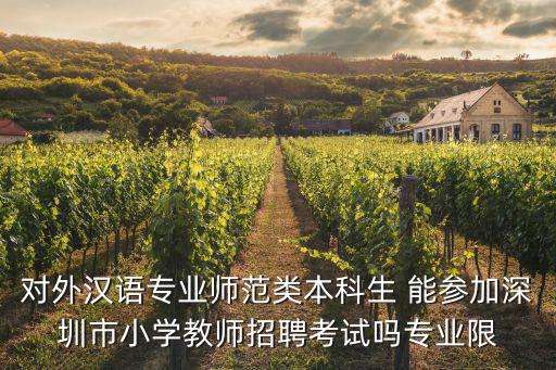 對外漢語專業師范類本科生 能參加深圳市小學教師招聘考試嗎專業限