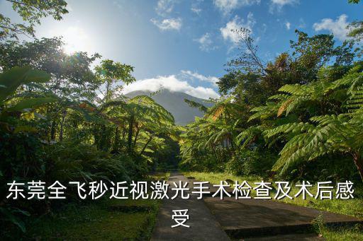 東莞全飛秒近視激光手術檢查及術后感受