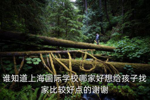 誰(shuí)知道上海國(guó)際學(xué)校哪家好想給孩子找家比較好點(diǎn)的謝謝