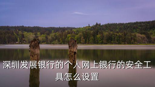 深圳發展銀行的個人網上銀行的安全工具怎么設置
