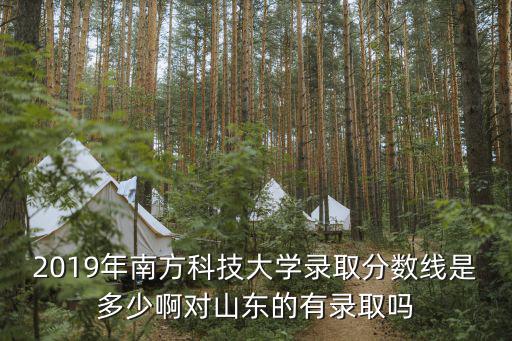 2019年南方科技大學錄取分數線是多少啊對山東的有錄取嗎
