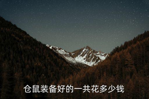 倉鼠裝備好的一共花多少錢