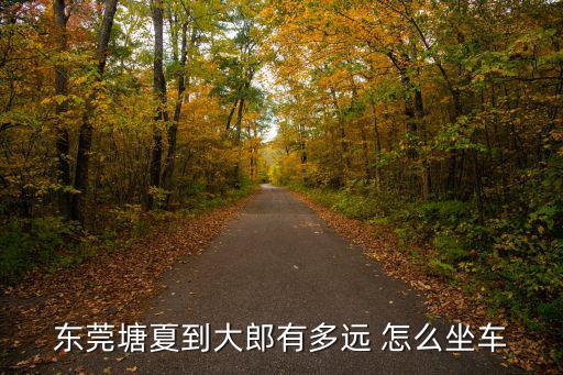 東莞塘夏到大郎有多遠 怎么坐車