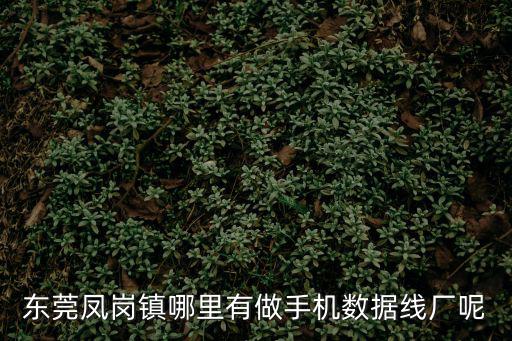 東莞鳳崗鎮(zhèn)哪里有做手機(jī)數(shù)據(jù)線廠呢