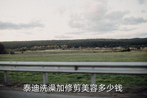 泰迪洗澡加修剪美容多少錢