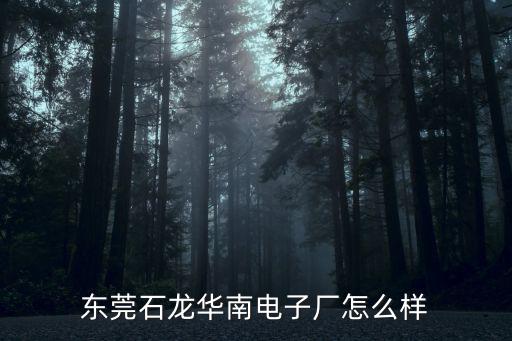 東莞南成電子，東莞石龍華南電子廠怎么樣