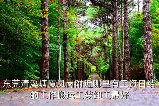 東莞清溪塘廈鳳崗附近哪里有工資日結(jié)的工作搬運(yùn)工裝卸工最好