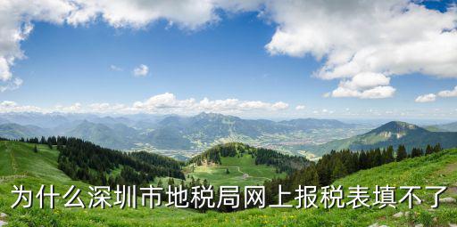 為什么深圳市地稅局網上報稅表填不了