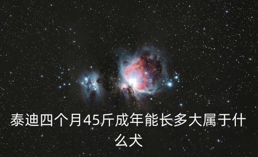 泰迪四個(gè)月45斤成年能長多大屬于什么犬