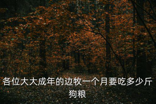 二個月邊牧喂多少狗樣，大家誰知道兩個多月德牧一頓喂多少狗糧