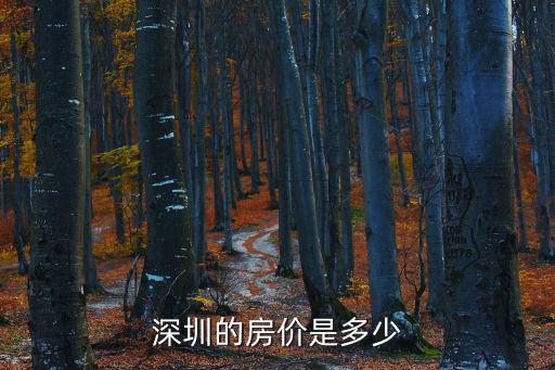 深圳市濱江新村二手房價格，深圳的房價是多少