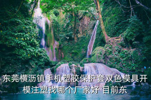 東莞橫瀝鎮手機塑膠保護套雙色模具開模注塑找哪個廠家好 目前東