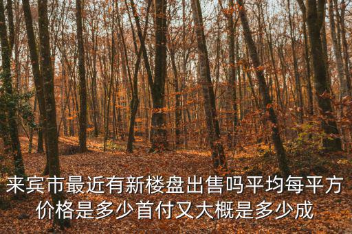 來賓市最近有新樓盤出售嗎平均每平方價格是多少首付又大概是多少成