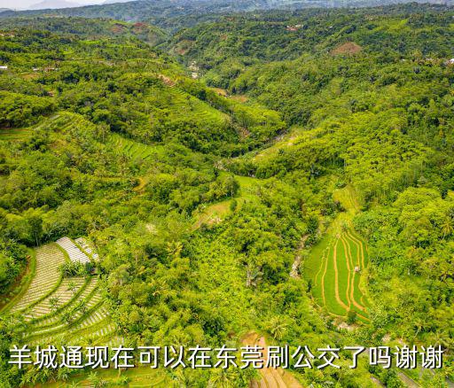 羊城通現在可以在東莞刷公交了嗎謝謝
