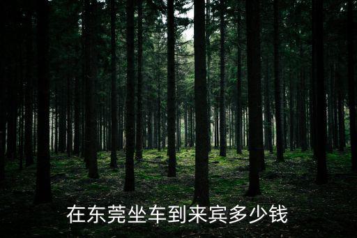 在東莞坐車到來(lái)賓多少錢